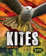 Kites - Nathan Sommer - 9781626178779