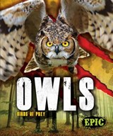 Owls - Nathan Sommer - 9781626178816