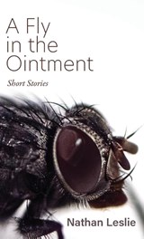 A Fly in the Ointment - Nathan Leslie - 9781627204651