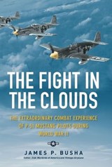 The Fight in the Clouds - James P. Busha - 9781627881418