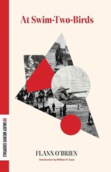 At Swim-Two-Birds - Flann O'Brien - 9781628973884