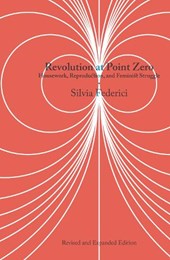 Revolution at Point Zero: Housework, Reproduction, and Feminist Struggle