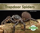 Trapdoor Spiders - ARCHER,  Claire - 9781629700755