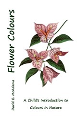 Flower Colours - David E. McAdams - 9781632705709