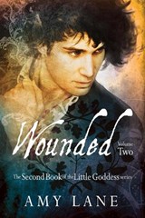 Wounded, Vol. 2 - LANE,  Amy - 9781634764469