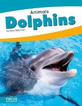 DOLPHINS - REBMAN,  Nick - 9781635179491
