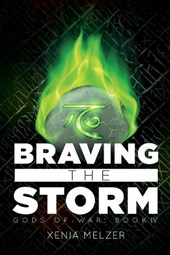 Braving the Storm Volume 4