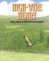High-Wire Henry - Mary Calhoun - 9781635618488