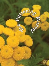 The Puttering Marvel - Allen Frost - 9781637324165