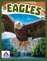 Birds of Prey: Eagles - Golriz Golkar - 9781637381410