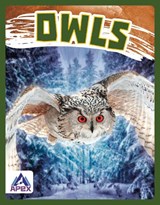 Birds of Prey: Owls - Golriz Golkar - 9781637381472