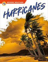 Hurricanes - Brienna Rossiter - 9781637383049