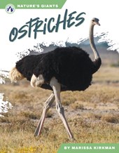 Nature's Giants: Ostriches