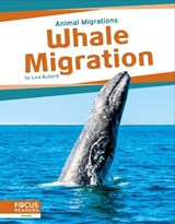 Whale Migration - Lisa Bullard - 9781637396100