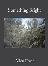 Something Bright - Allen Frost - 9781639017133