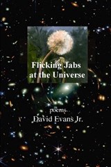 Flicking Jabs at the Universe - David Evans - 9781639804016