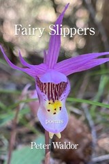 Fairy Slippers - Peter Waldor - 9781639804269