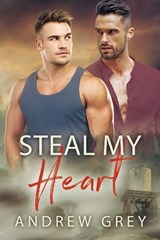 Steal My Heart - Andrew Grey - 9781641087117