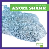 Angel Shark - Jenna Lee Gleisner - 9781641289559