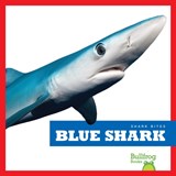Blue Shark - Jenna Lee Gleisner - 9781641289573