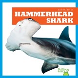 Hammerhead Shark - Jenna Lee Gleisner - 9781641289634