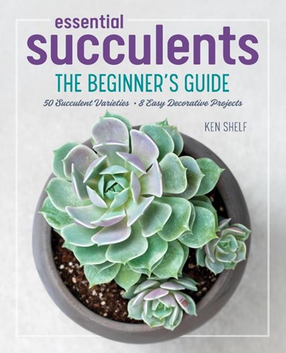Essential Succulents, Ken Shelf - Paperback - 9781641522557