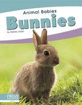 Bunnies - Kelsey Jopp - 9781641857437