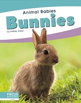 Animal Babies: Bunnies - Kelsey Jopp - 9781641858120