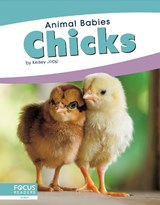 Animal Babies: Chicks - Kelsey Jopp - 9781641858137