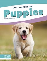 Animal Babies: Puppies - Meg Gaertner - 9781641858199