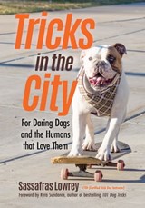 Tricks in the City - Sassafras Lowrey - 9781642500400
