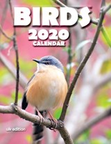 Birds 2020 Calendar (UK Edition) - Wall Publishing Uk - 9781642526714