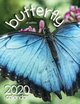 Butterfly 2020 Calendar (UK Edition) - Wall Publishing Uk - 9781642526738