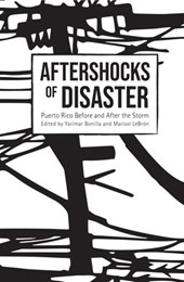 Aftershocks of Disaster