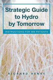 Strategic Guide to Hydro by Tomorrow