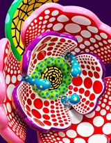 Yayoi Kusama: I Spend Each Day Embracing Flowers - Yayoi Kusama ; Robert Slifkin ; Lynn Zelevansky - 9781644231333