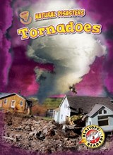 Tornadoes - Betsy Rathburn - 9781644870273