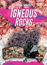 Igneous Rocks - Jenny Fretland VanVoorst - 9781644870754