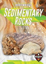 Sedimentary Rocks - Jenny Fretland VanVoorst - 9781644870778