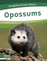 Neighborhood Safari: Opossums - Martha London - 9781644933534
