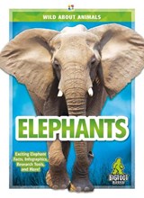 Wild About Animals: Elephants - Emma Huddleston - 9781644942444