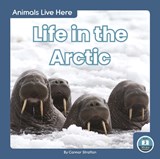 Animals Live Here: Life in the Arctic - Connor Stratton - 9781646190195