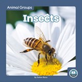 Animal Groups: Insects - Dalton Rains - 9781646198092