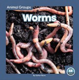 Worms - Dalton Rains - 9781646198139