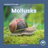 Animal Groups: Mollusks - Dalton Rains - 9781646198405
