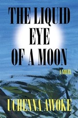 The Liquid Eye of a Moon - Uchenna Awoke - 9781646221912