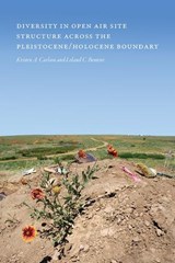 Diversity in Open-Air Site Structure Across the Pleistocene/Holocene Boundary - Kristen A Carlson ; Leland C Bement - 9781646422258