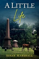A Little Life - Susan Marshall - 9781646493814