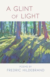 A Glint of Light - Fredric Hildebrand - 9781646623839