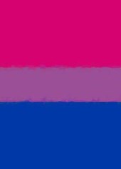 Bisexual Pride Flag Journal